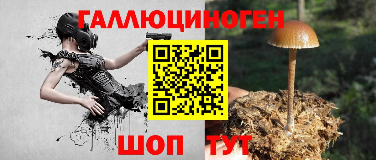 Нальчик  Галлюциногенные грибы мицелий  Вход с VPN 